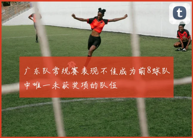 广东队常规赛表现不佳成为前8球队中唯一未获奖项的队伍