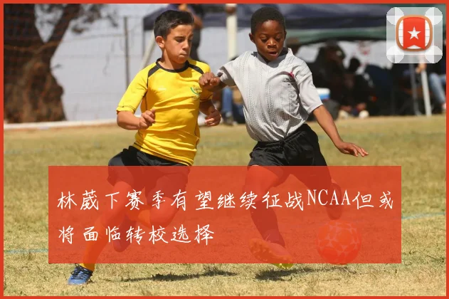 林葳下赛季有望继续征战NCAA但或将面临转校选择